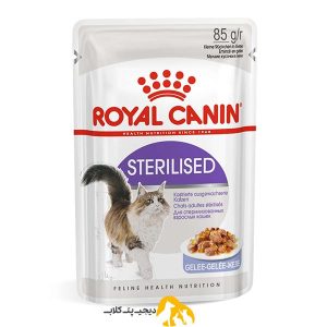 پوچ گربه رویال کنین مدل عقیم شده وزن 85 گرم