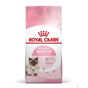 غذای خشک گربه رویال کنین مدل مادر اند بیبی