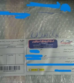 photo16618747114_2_11zon